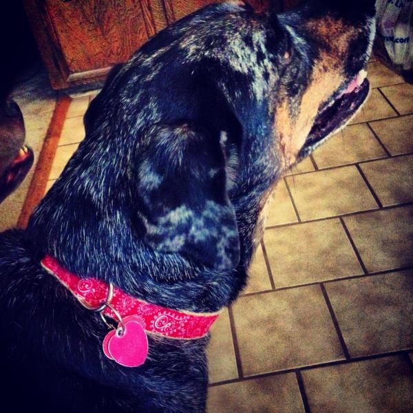 Riley