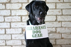Clearance Items